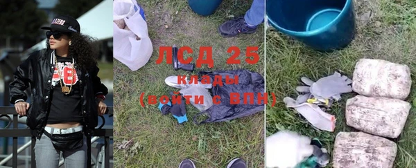 крисы Покачи