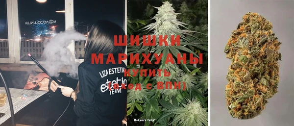 крисы Покачи