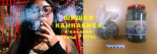 ГАЛЛЮЦИНОГЕННЫЕ ГРИБЫ Валдай