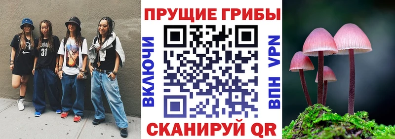 Галлюциногенные грибы прущие грибы  Борзя 