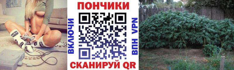 купить наркотик  Борзя  Шишки марихуана VHQ 