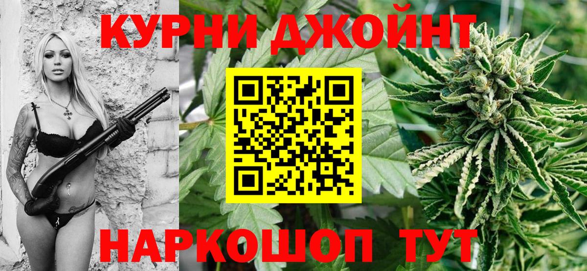 Каннабис планчик Борзя
